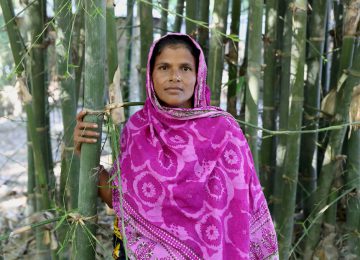 Frau aus Bangladesch vor Bambuspflanzen, Einkommen, Ernährung, Familien, Bangladesch, Existenzsicherung, Armut, Hunger, Asien