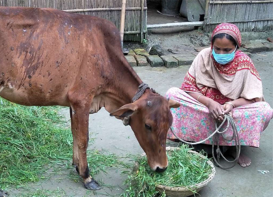Frau in Bangladesch mit ihrer Kuh, Armut, Hunger, Ernährung, Existenzsicherung, Einkommen, Asien, Bangladesh, Familien, Landwirtschaft