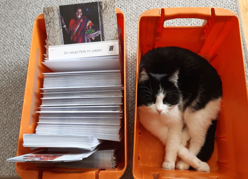 Aussendungsmaterial und Katze in Postversandbox