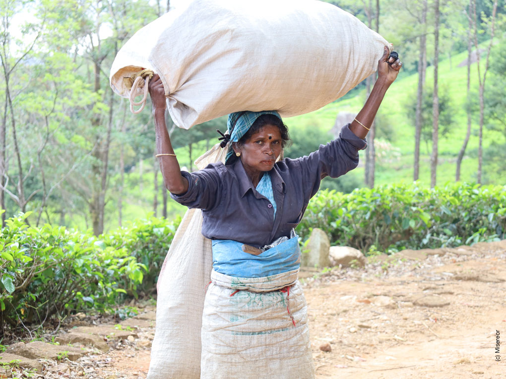 Die Frauen müssen während ihrer Arbeit über lange Strecken bis zu zwanzig Kilo schwere Säcke mit Tee tragen. Das gefärdet ihre Gesundheit, besonders ihren Rücken.