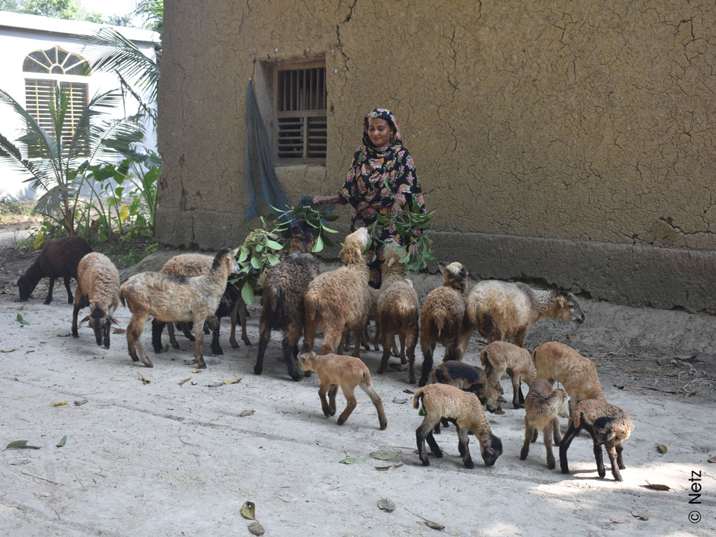 298-bangladesch-familien-schafe-klimaresilienz-schulung-workshop