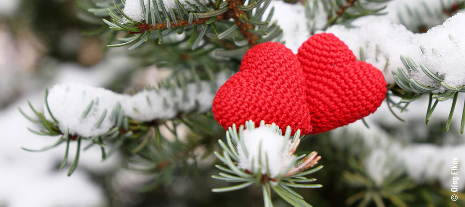 zwei stoffherzen im Schnee auf einem tannenzweig.