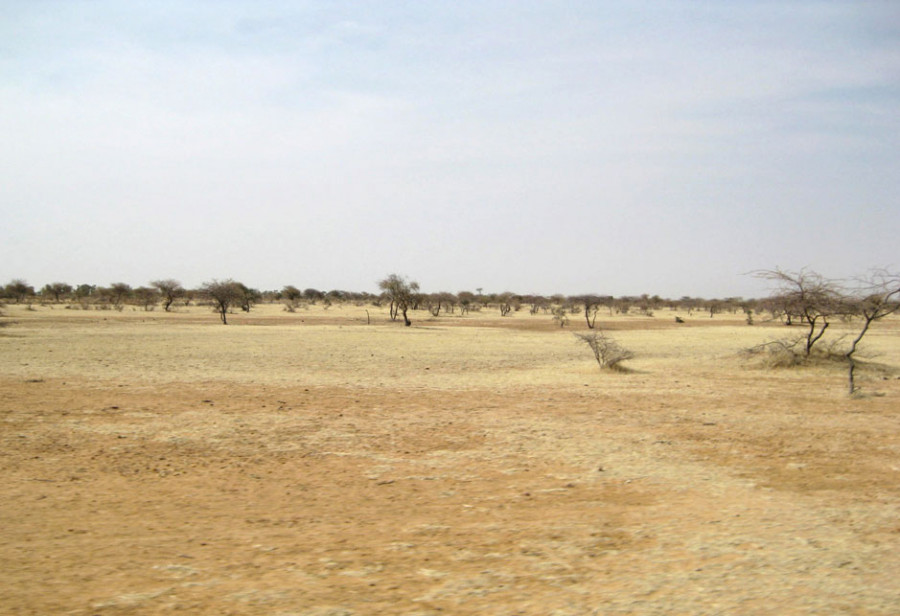 Ausgedörrter und trockener Boden in der Savanne