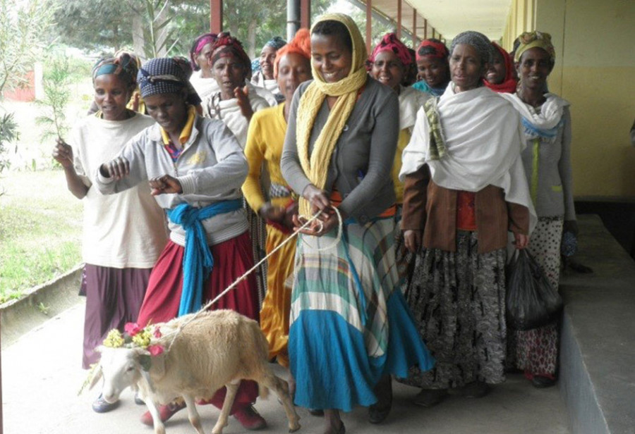 In einer ersten Projektphase haben sich bereits 360 Frauen in Spargruppen zusammengeschlossen. Mithilfe eines kleines Startkapitals konnte diese Gruppe eine Ziege anschaffen, um die Milch auf dem Markt zu verkaufen. (c) Misereor Frauen mit einer Ziege