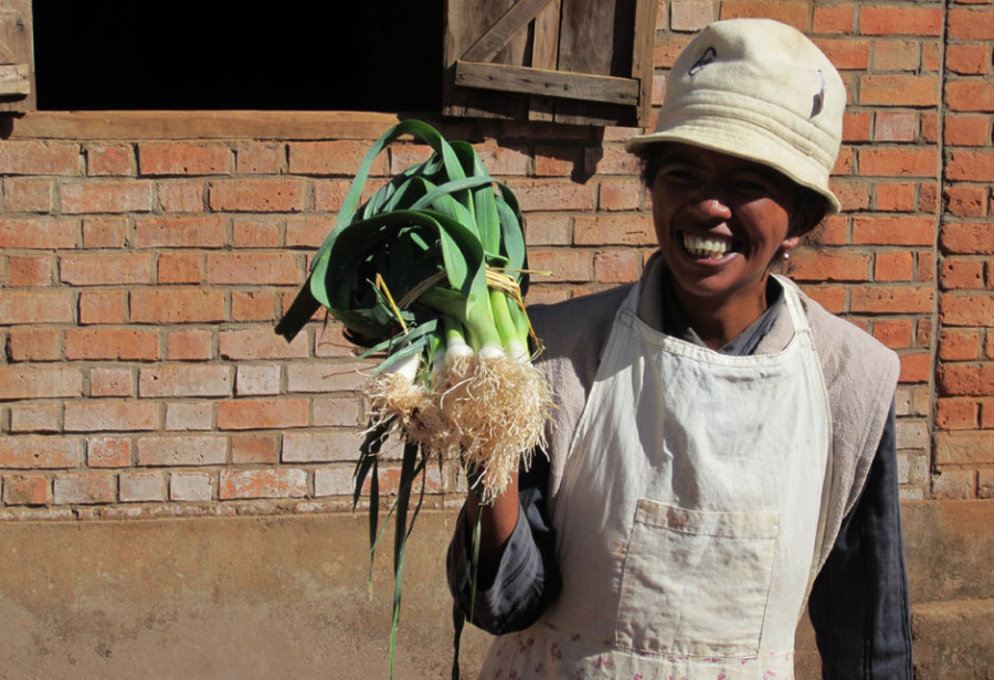 Einkommen, Landwirtschaft, Selbsthilfe, Schulungen, Hunger, Frauen, Madagaskar, Afrika