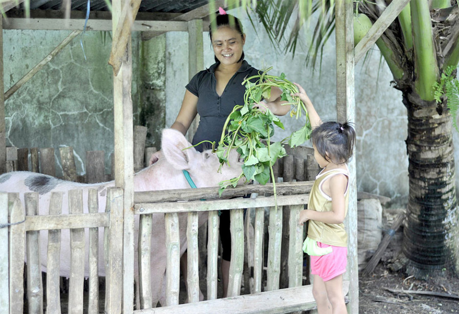Landwirtschaft, Einkommen, Familien, Philippinen, Asien,