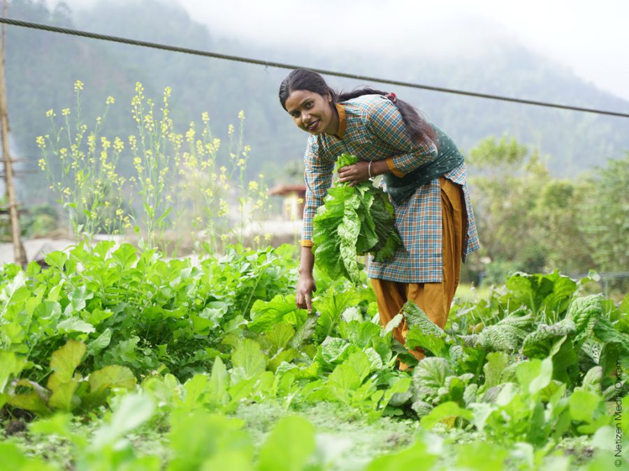 Für viele Familien und vor allem Frauen im ländlichen Nepal ist die finanzielle Lage so prekär, dass es schwierig ist das Überleben aller Familienmitglieder sicherzustellen.