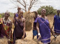 Masai-Frauen am Feld