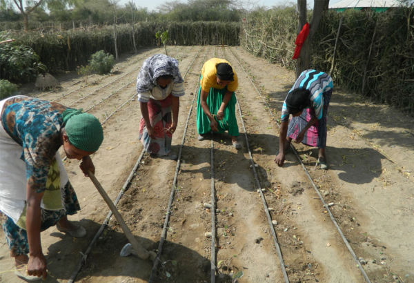 Doch der Teufelskreis von Dürre und Hunger kann durchbrochen werden. Davon sind die Projektpartner in der Somali-Region überzeugt: Durch die Errichtung neuer Brunnen und Bewässerungssysteme …