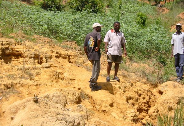 Viele Felder gleichen immer mehr einer Wüste. Mit verschiedenen Bäumen, Pflanzen und Mischkultur kann ein Stück trockenes Land wieder fruchtbar gemacht werden. Mischkultur auf erodiertem Feld