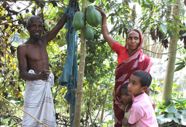 "Es ist das erste Mal in meinem Leben, dass ich eigene Bäume gepflanzt habe“, erzählt Marsheda Begum.
Die Papaya-Pflanze vor ihrer Hütte ist ihr ganzer Stolz. Selbst unreife Früchte können verwertet werden – als Gemüse. Frau und Mann präsentieren ihren Papaya-Baum