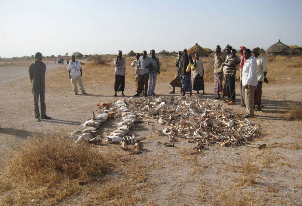 Viele Tiere starben während der letzten beiden Dürreperioden 2011 und 2014. Manche Familien haben sogar ihre gesamte Herde verloren. Die Natur erholt sich nur langsam und die Weideflächen werden immer spärlicher. Männer stehen in dürrer Landschaft um Tierskelette