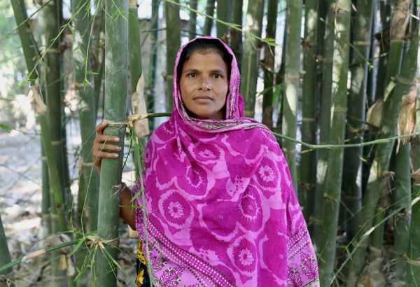 Fulmala Begums Ziel ist es, durch eine Aufnahme in die Dorfgruppe das Leben ihrer Familie zu verbessern. Mit dem Startkapital will sie Geflügel züchten und endlich das Dach ihrer Wohnung reparieren, durch das laufend Wasser eindringt. (© Netz) Frau aus Bangladesch vor Bambuspflanzen, Einkommen, Ernährung, Familien, Bangladesch, Existenzsicherung, Armut, Hunger, Asien