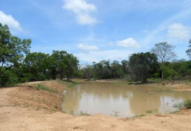 Freude über das Wasser: Nach dem Ende der Arbeiten konnte sich das erste Regenwasser im
Wewa ansammeln.