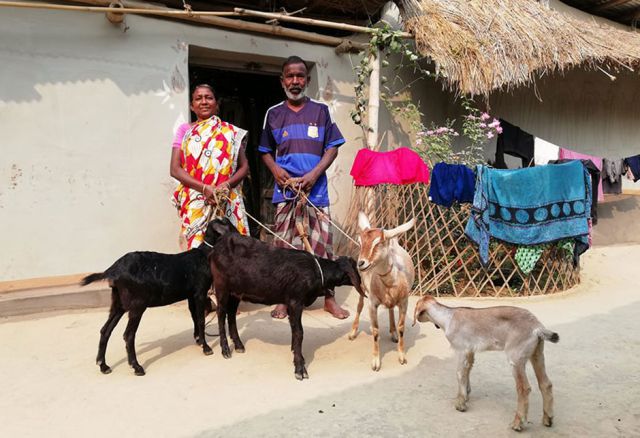 Die Familie von Margarita Saren kann mittlerweile das gesamte Jahr über dreimal pro Tag essen. Die Zeiten des Hungers und der Verzweiflung sind für sie vorbei. (Pr. 266, © Netz ) Existenzsicherung, Frauen, Asien, Bangladesh, Starthilfe, Landwirtschaft, Unterstützung