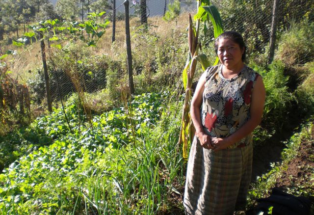 Der Erhalt von Wäldern, Wasserquellen und Ökosystemen sichert ihnen als KleinbäuerInnen nicht nur die Ernährung, sondern ist auch der Kern ihrer kulturellen Identität. (© Kohler/Misereor) Recht, Umwelt, Indigen, Guatemala, Südamerika