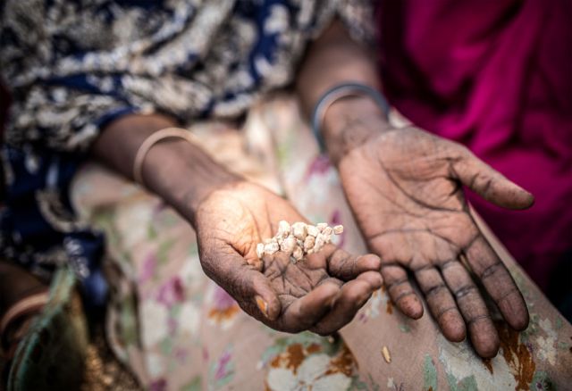 Hoden Abdi Iwal, eine äthiopische Bäuerin aus Gilo, erzählt: „Früher bauten wir Mais, Hirse, Tomaten und Zwiebeln an. Aber jetzt wächst nichts mehr. Die Kinder sind jeden Tag hungrig. Wir sind allein und die Welt hat uns vergessen.“
(Pr. 368, © Pablo Tosco, Oxfam Intermón)