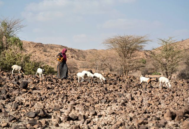 Mako mit der drei Monate alten Amaal. Sie und ihre Familie brauchen Zugang zu Wasser, trockenheitsresistentes Saatgut und Feldwerkzeuge. Ihr eigenes Werkzeug hat die Flut weggeschwemmt.
(Pr. 368, © Kieran Doherty, Oxfam)