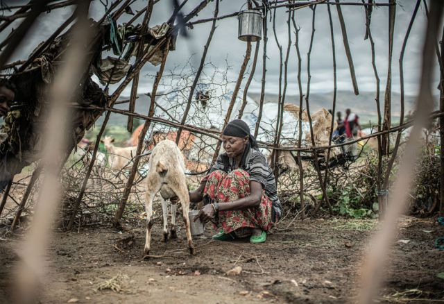 Diese Frau hat mit ihrer Ziege in einem Lager Zuflucht gefunden. Die wenige Milch reicht nicht zum Überleben. Sie braucht weitere Unterstützung.
(Pr. 368, © Pablo Tosco, Oxfam Intermón
