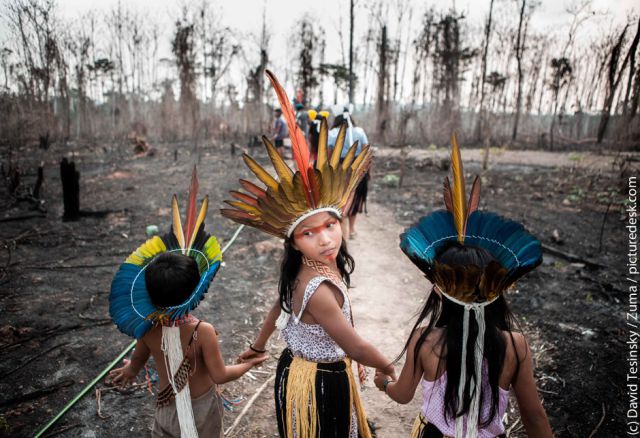 Kein Einzelfall : Der tropische Regenwald auf dem Gebiet der indigenen Huni Kuin im brasilianischen Bundesstaat Acre wurde wiederholt von Großgrundbesitzern niedergebrannt.
(Pr. 371, © David Tesinsky / Zuma / picturedesk.com)