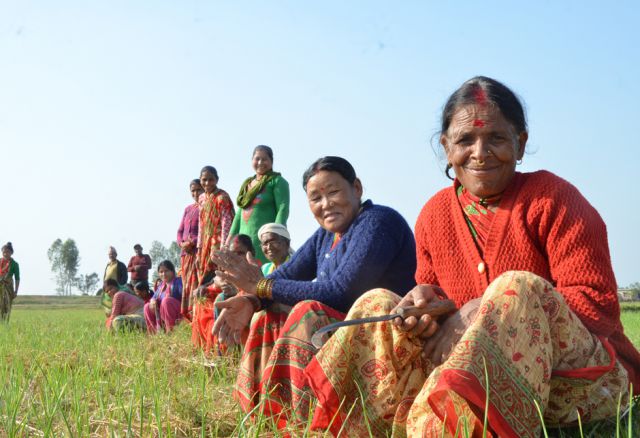 Damit die KleinbäuerInnen trotz Klimawandel ausreichend ernten und ihr
Überleben sichern können, unterstützt unsere Partner-Organisation Oxfam sie beim Aufbau einer klimaangepassten Landwirtschaft.
(Pr. 373, © Oxfam in Nepal)