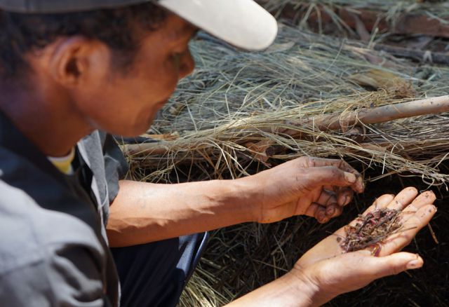 Die lokale Organisation Caritas Antsirabe und unsere Partner-Organisation Entraide et Fraternité unterstützen KleinbäuerInnen, ihre Ernährung zu sichern - zum Beispiel mit Schulungen zu ressourcenschonender Landwirtschaft. © Entraide et Fraternite