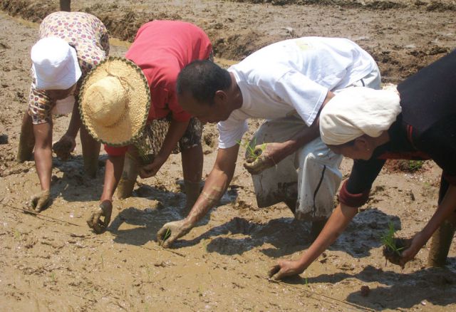 Die Dämme werden so gebaut, dass der Abfluss des Wassers reguliert werden kann. So werden Überflutungen abgeschwächt und es steht während der
Trockenzeit ausreichend Wasser zur Bewässerung zur Verfügung. © Entraide et Fraternite